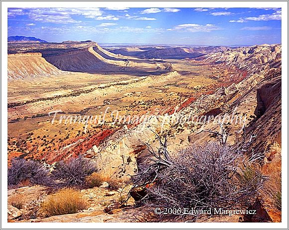 450174   The Waterpocket fold from Strike Valley Overlook. Wow! Film cannot possible capture the vastness of this wilderness area of Utah. A must see